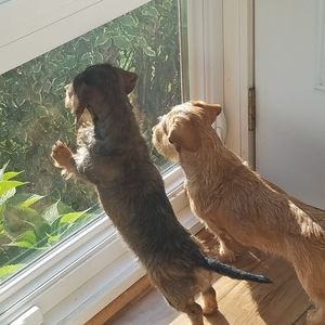 Meet your Posher, Constance